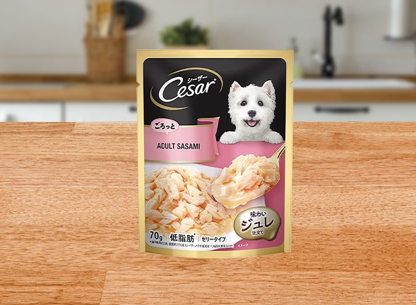 Cesar Sasami Product image