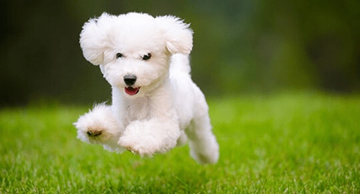 thumb_fit-and-fabulous-banner_1637333379404.png