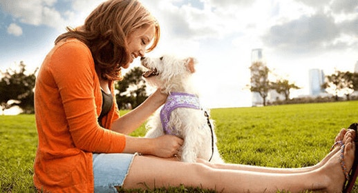 thumb_the-joy-of-growing-up-with-dogs-banner_1637337214571.png