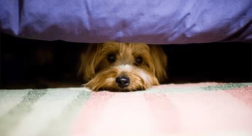 thumb_thunderstorms-banner-1_1637565799010.png